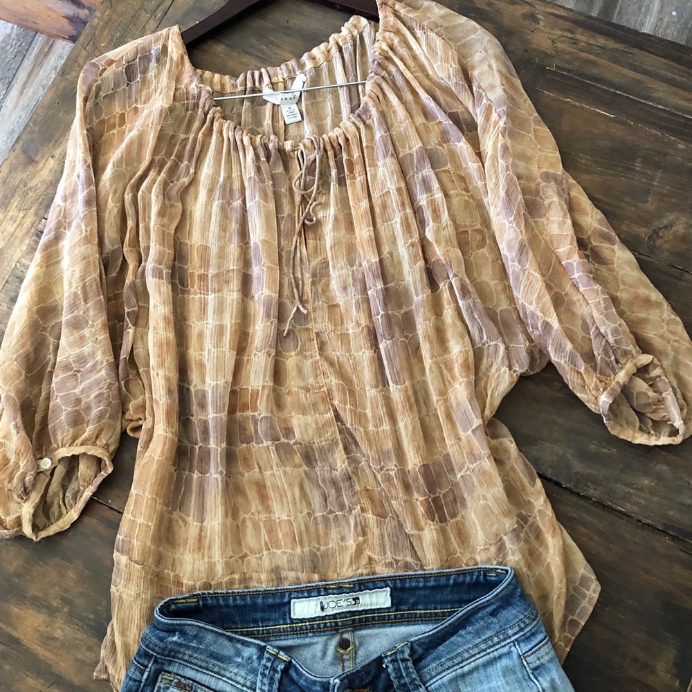Sheer Blouse 3/4 sleeve